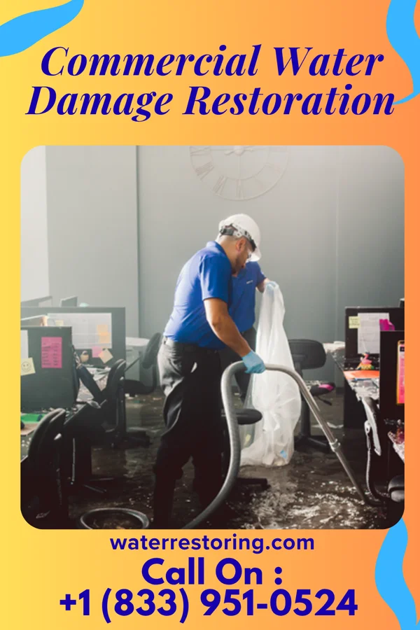 Commercial Water Damage Restoration in Stem, NC